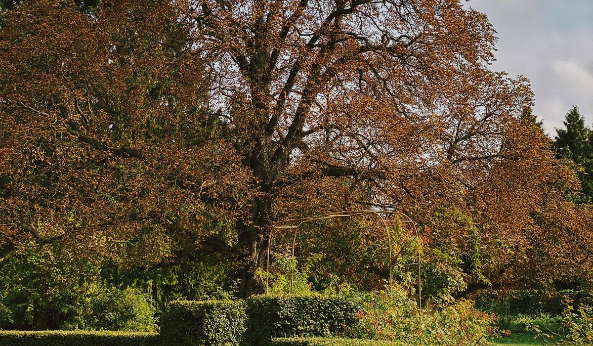 Choosing the Right Garden Spade